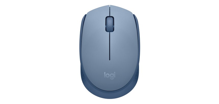 Logitech M171