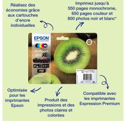 Epson Kiwi Singlepack Photo Black 202 Claria Premium Ink