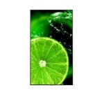 NEC MultiSync E988 Écran plat de signalisation numérique 2,48 m (97.5") LCD 350 cd/m² 4K Ultra HD Noir 24/7