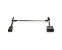 StarTech.com Cables de Seguridad de Doble Lazo - Paquete de 10 - de Acero - Ajustable