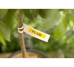 Brother - Nastro -  Nero/Giallo - TZE621 - 9mm x 8mt