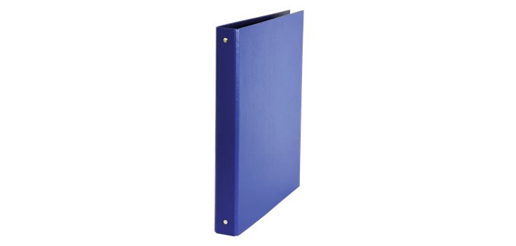 Esselte Daily raccoglitore ad anelli A4 Blu