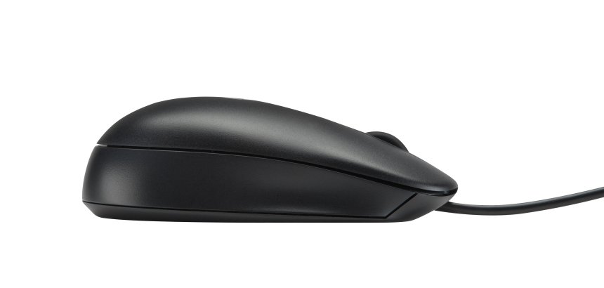 HP Souris optique USB 2.9M