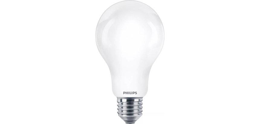 Philips Lampadina smerigliata a filamento 150 W A67 E27
