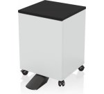 Epson 7112285 printer cabinet/stand Black, White