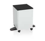 Epson 7112285 printer cabinet/stand Black, White