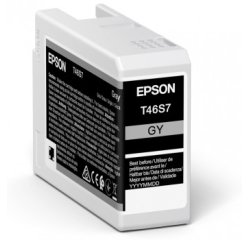Epson UltraChrome Pro cartuccia d'inchiostro 1 pz Originale Grigio