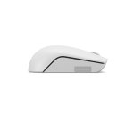 Lenovo Mouse wireless 300 compatto (Grigio Cloud)