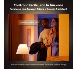 Philips Hue White and Color ambiance Iris argento in edizione speciale