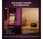 Philips Hue White and Color ambiance Iris argento in edizione speciale