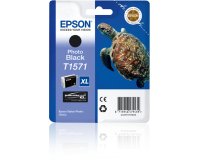 Epson Turtle Cartuccia Nero foto