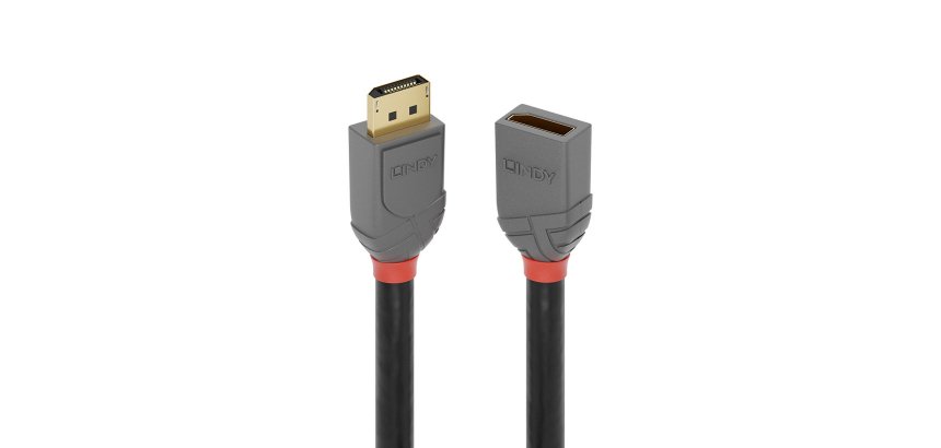 Lindy Rallonge DisplayPort Anthra Line, 0.5m
