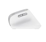 Trust Bayo II souris Bureau Droitier RF sans fil Optique 2400 DPI
