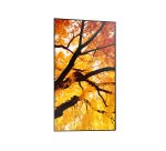 Sharp MultiSync M432 Écran plat de signalisation numérique 108 cm (42.5") LCD 550 cd/m² 4K Ultra HD Noir