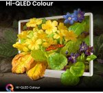 Hisense 32S5Q 81.3 cm (32") Full HD Smart TV Wi-Fi White