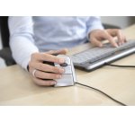Bakker Elkhuizen Evoluent Vertical Mouse - verticale muis - PS/2, USB