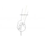 Bakker Elkhuizen Evoluent Vertical Mouse 4 - vertical mouse - USB