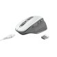Trust Ozaa mouse Ufficio Mano destra RF Wireless Ottico 2400 DPI