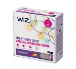 WiZ Fairy Light da 20 m