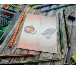 GREENcolors ARTY crayon de couleur - Etui carton de 24 crayons de couleur - Coloris assortis