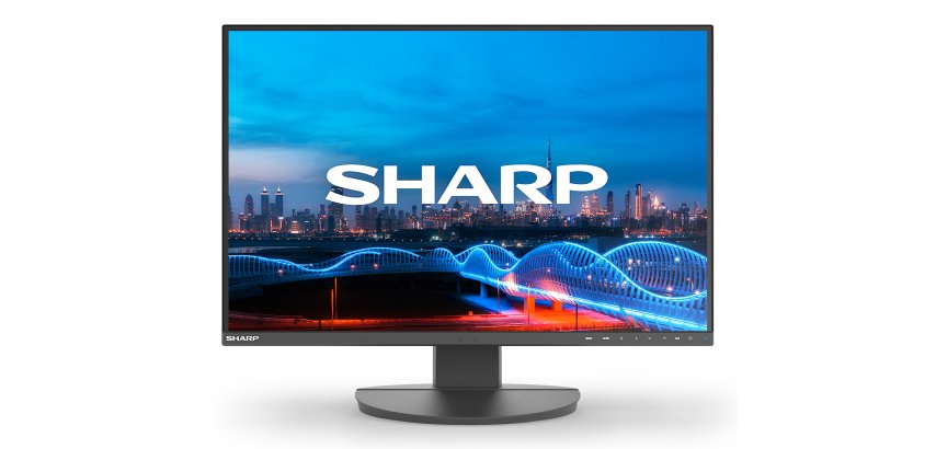Sharp MultiSync EA241W Monitor PC 61 cm (24") 1920 x 1200 Pixel Full HD LCD Nero