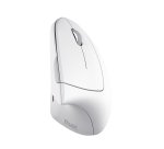 Trust Verto mouse Office Right-hand RF Wireless Optical 1600 DPI