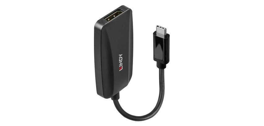 Lindy Convertisseur USB Type C vers DisplayPort 8K60