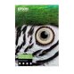 Epson C13S450276NQ papier jet d'encre A2 (420x594 mm) Lisse 25 feuilles Multicolore