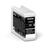Epson UltraChrome Pro10 cartouche d'encre 1 pièce(s) Original Rendement standard Noir