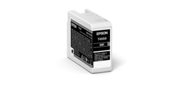 Epson UltraChrome Pro10 cartouche d'encre 1 pièce(s) Original Rendement standard Noir