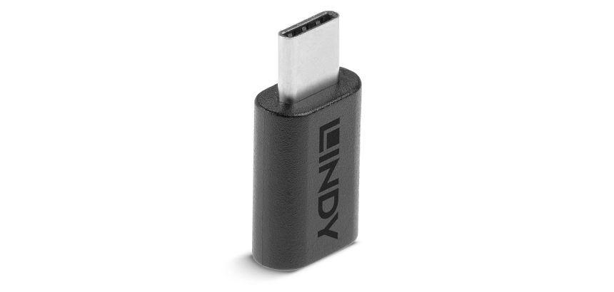 Lindy 41893 adattatore per inversione del genere dei cavi USB 3.2 Type C Nero