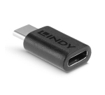 Lindy 41893 adattatore per inversione del genere dei cavi USB 3.2 Type C Nero