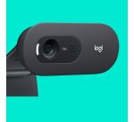 Logitech C505 HD Webcam