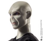 Harry Potter Lord Voldemort And Dolls