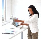 Perforlieur fellowes lyra 3en1 anneaux plastiques       reliure manuel perforation    155x440x395mm