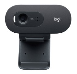 Logitech C505e webcam 1280 x 720 pixels USB Black
