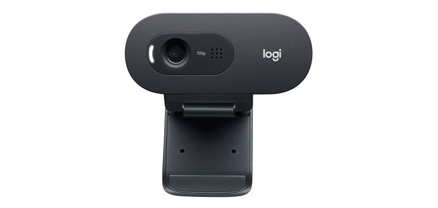 Logitech C505e Webcam 1280 x 720 Pixel USB Schwarz