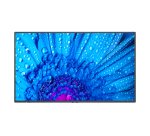 NEC MultiSync M491 Écran plat de signalisation numérique 124,5 cm (49") IPS 500 cd/m² 4K Ultra HD Noir 24/7