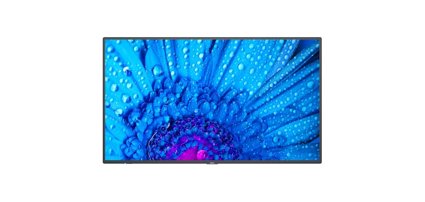 NEC MultiSync M651 Écran plat de signalisation numérique 165,1 cm (65") IPS 500 cd/m² 4K Ultra HD Noir 24/7