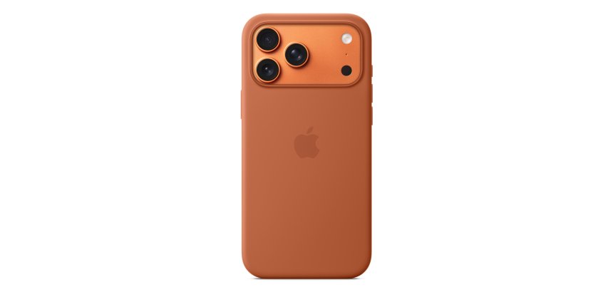 Apple MGFQ4ZM/A coque de protection pour téléphones portables 17,5 cm (6.9") Housse Terracotta