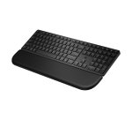 HP Multi-Device Dual-Mode Keyboard with Palm Rest 580K