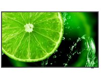 NEC MultiSync E498 124.5 cm (49") IPS 350 cd/m² 4K Ultra HD Black 16/7
