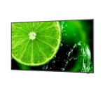 NEC MultiSync E438 Écran plat de signalisation numérique 108 cm (42.5") LCD 350 cd/m² 4K Ultra HD Noir 16/7