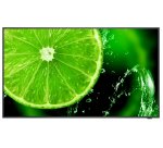 NEC MultiSync E658 165,1 cm (65") IPS 350 cd/m² 4K Ultra HD Noir 16/7