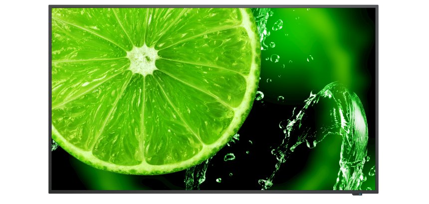 NEC MultiSync E658 165,1 cm (65") IPS 350 cd/m² 4K Ultra HD Noir 16/7