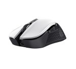 Trust GXT 923W YBAR souris Gaming Droitier RF sans fil Optique 7200 DPI