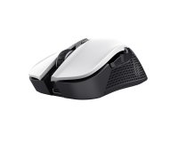Trust GXT 923W YBAR souris Gaming Droitier RF sans fil Optique 7200 DPI