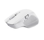 Trust Ozaa+ souris Bureau Droitier RF sans fil + Bluetooth Optique 3200 DPI