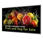 Philips 5000 series 43BDL5050D Écran plat de signalisation numérique 108 cm (42.5") LCD Wifi 600 cd/m² 4K Ultra HD Noir Intégré dans le processeur Android 14 24/7