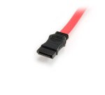 StarTech.com Câble Adaptateur Slimline SATA vers SATA avec Alimentation LP4 - 50 cm